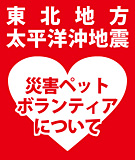 volunteer-3-160.jpg
