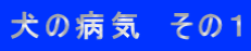 ���̕a�C�@���̂P
